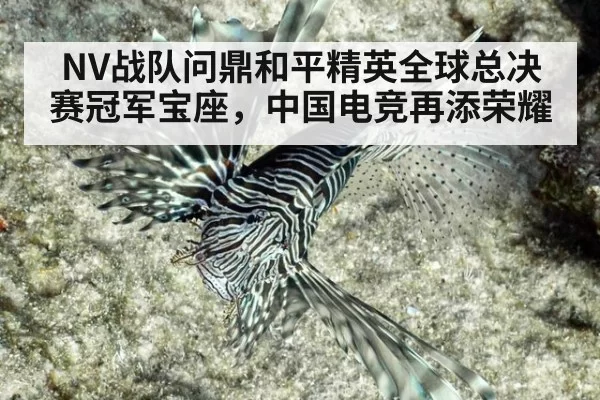 NV战队问鼎和平精英全球总决赛冠军宝座,中国电竞再添荣耀