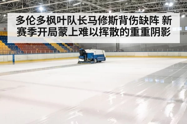 ice hockey arena